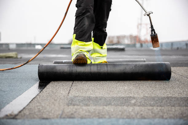 Best Roof Coating and Sealing  in South Amherst, OH